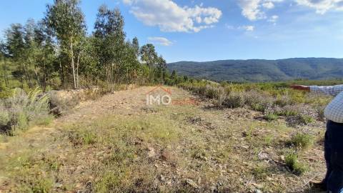 Terreno Rústico  Venda em Reguengo e São Julião,Portalegre