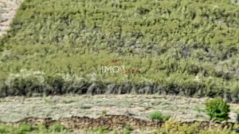 Terreno Rústico  Venda em Reguengo e São Julião,Portalegre