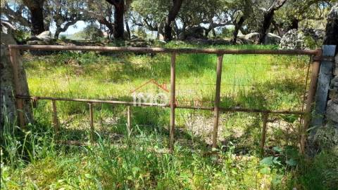 Terreno Rústico  Venda em Beirã,Marvão