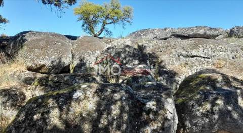 Terreno Rústico  Venda em Beirã,Marvão