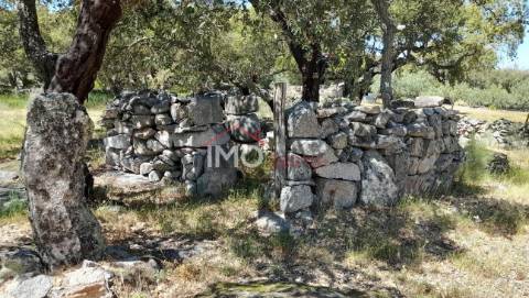 Terreno Rústico  Venda em Beirã,Marvão
