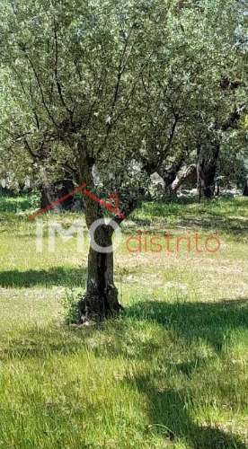 Terreno Rústico  Venda em Beirã,Marvão