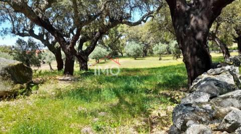 Terreno Rústico  Venda em Beirã,Marvão