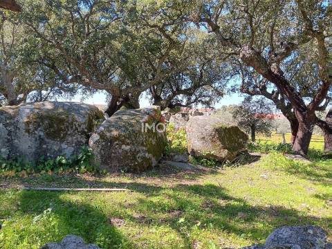 Terreno Rústico  Venda em Beirã,Marvão