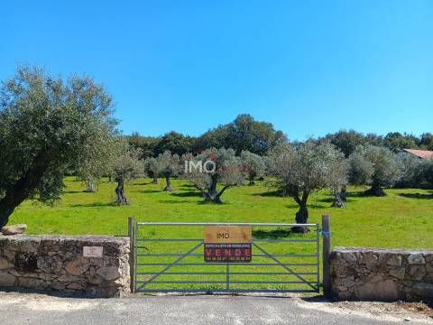 Terreno Rústico  Venda em Beirã,Marvão