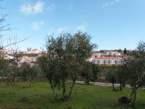 Terreno Rústico  Venda em São João Baptista,Castelo de Vide