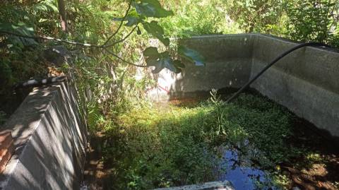 Quinta T3 Venda em Santa Maria da Devesa,Castelo de Vide