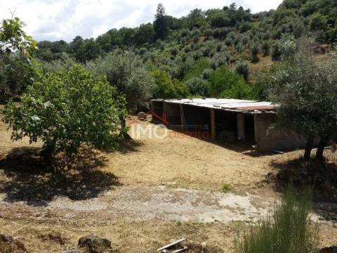 Quinta T3 Venda em Santa Maria da Devesa,Castelo de Vide