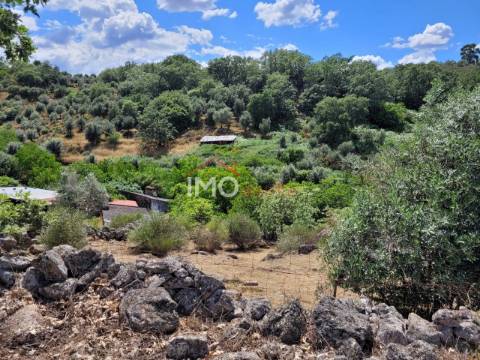 Quinta T3 Venda em Santa Maria da Devesa,Castelo de Vide