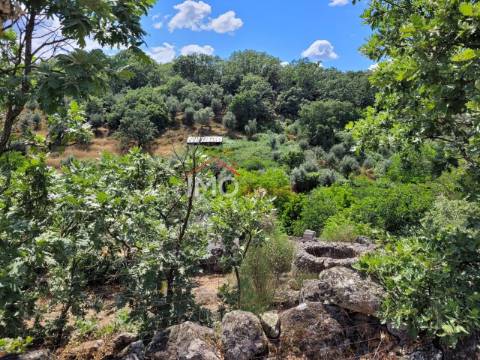 Quinta T3 Venda em Santa Maria da Devesa,Castelo de Vide
