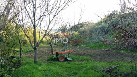Quinta T3 Venda em Santa Maria da Devesa,Castelo de Vide