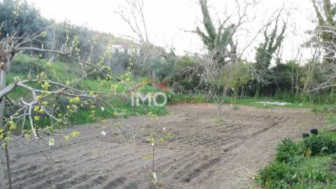 Quinta T3 Venda em Santa Maria da Devesa,Castelo de Vide