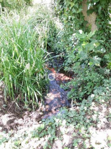 Quinta T3 Venda em Santa Maria da Devesa,Castelo de Vide