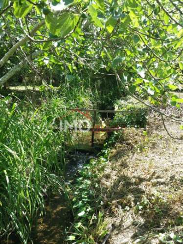 Quinta T3 Venda em Santa Maria da Devesa,Castelo de Vide