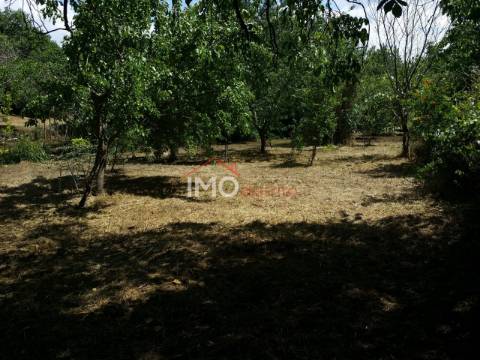 Quinta T3 Venda em Santa Maria da Devesa,Castelo de Vide