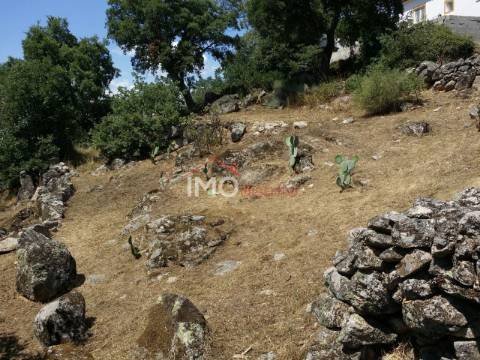 Quinta T3 Venda em Santa Maria da Devesa,Castelo de Vide