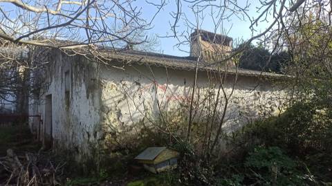 Quinta T3 Venda em Santa Maria da Devesa,Castelo de Vide