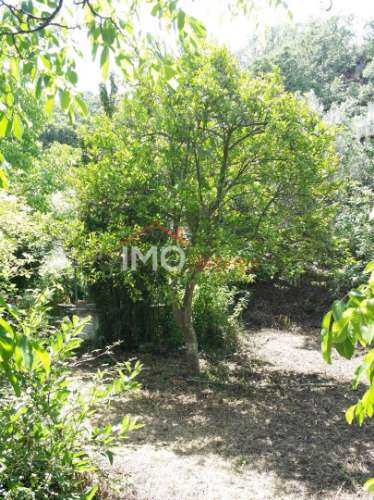 Quinta T3 Venda em Santa Maria da Devesa,Castelo de Vide