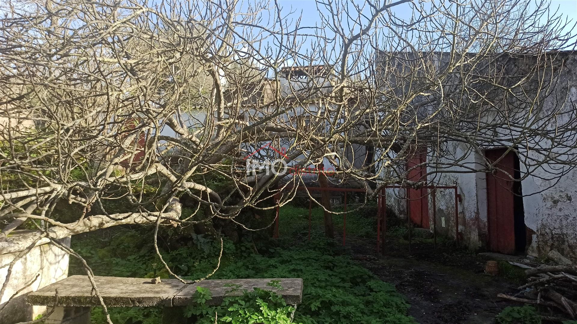 Quinta T3 Venda em Santa Maria da Devesa,Castelo de Vide