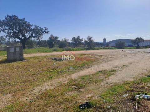 Terreno Para Construção  Venda em Sé e São Lourenço,Portalegre