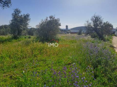 Terreno Para Construção  Venda em Sé e São Lourenço,Portalegre