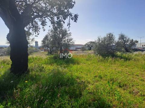 Terreno Para Construção  Venda em Sé e São Lourenço,Portalegre