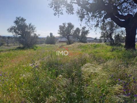 Terreno Para Construção  Venda em Sé e São Lourenço,Portalegre