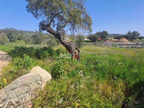 Terreno Para Construção  Venda em Sé e São Lourenço,Portalegre