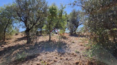Terreno Para Construção  Venda em Santa Maria da Devesa,Castelo de Vide