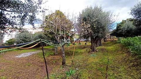 Moradia Isolada T3 Venda em São João Baptista,Castelo de Vide