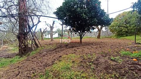 Moradia Isolada T3 Venda em São João Baptista,Castelo de Vide