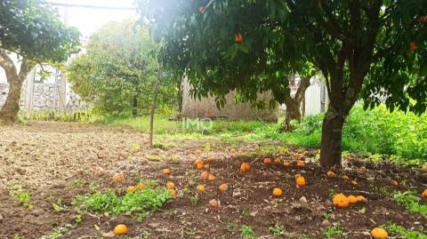 Moradia Isolada T3 Venda em São João Baptista,Castelo de Vide