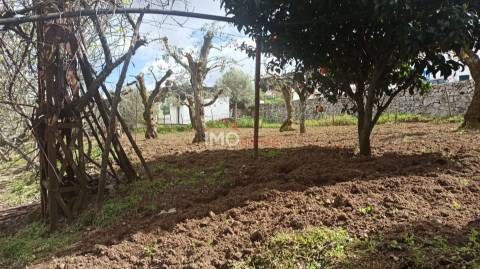 Moradia Isolada T3 Venda em São João Baptista,Castelo de Vide