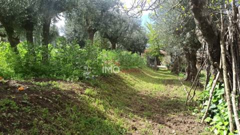 Moradia Isolada T3 Venda em São João Baptista,Castelo de Vide