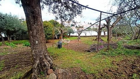 Moradia Isolada T3 Venda em São João Baptista,Castelo de Vide