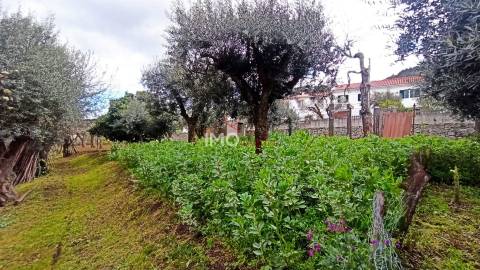 Moradia Isolada T3 Venda em São João Baptista,Castelo de Vide