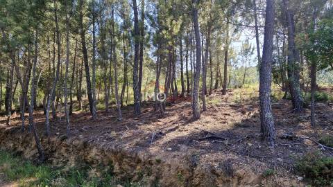Terreno  Venda em São Salvador da Aramenha,Marvão