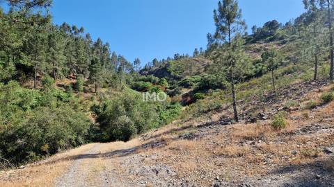 Terreno  Venda em São Salvador da Aramenha,Marvão