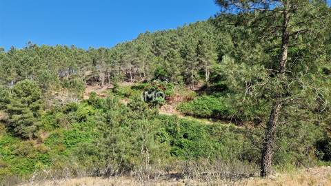 Terreno  Venda em São Salvador da Aramenha,Marvão