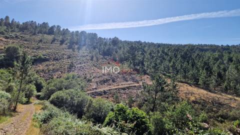 Terreno  Venda em São Salvador da Aramenha,Marvão