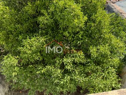 Apartamento T4+2 Venda em Alpalhão,Nisa