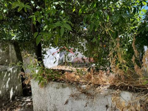 Apartamento T4+2 Venda em Alpalhão,Nisa