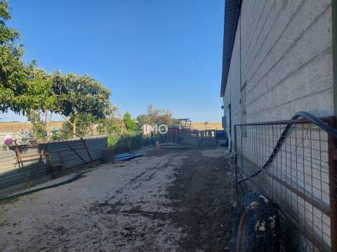 Lote de Terreno  Venda em Vaiamonte,Monforte