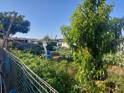 Lote de Terreno  Venda em Vaiamonte,Monforte