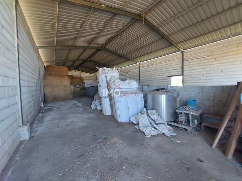 Lote de Terreno  Venda em Vaiamonte,Monforte