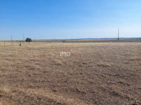 Lote de Terreno  Venda em Vaiamonte,Monforte