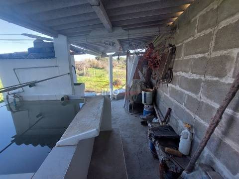 Terreno Rústico  Venda em Nossa Senhora da Graça de Póvoa e Meadas,Castelo de Vide