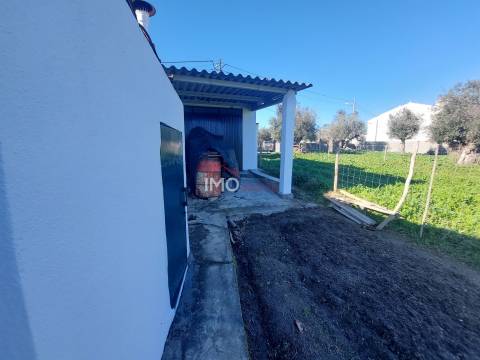 Terreno Rústico  Venda em Nossa Senhora da Graça de Póvoa e Meadas,Castelo de Vide