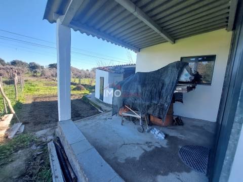 Terreno Rústico  Venda em Nossa Senhora da Graça de Póvoa e Meadas,Castelo de Vide