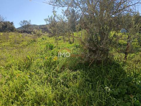 Lote de Terreno  Venda em Fortios,Portalegre